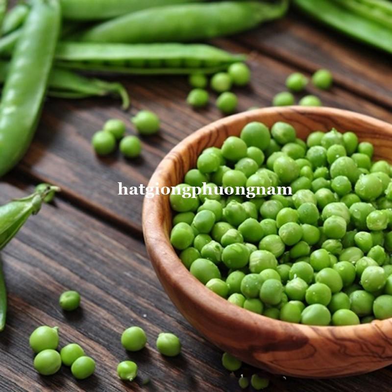 10GR - HẠT GIỐNG ĐẬU HÀ LAN