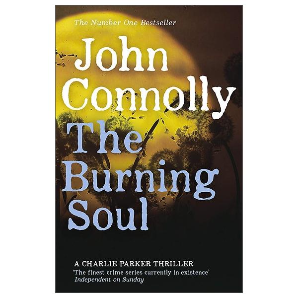 The Burning Soul: A Charlie Parker Thriller: 10