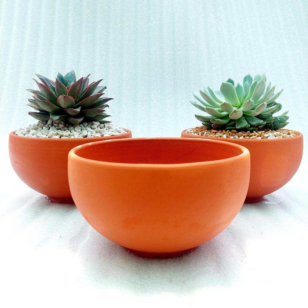 Chậu đất nung, Chậu sen đá - Tô 1610, miệng chậu 14-16cm, chiều cao 8.5cm