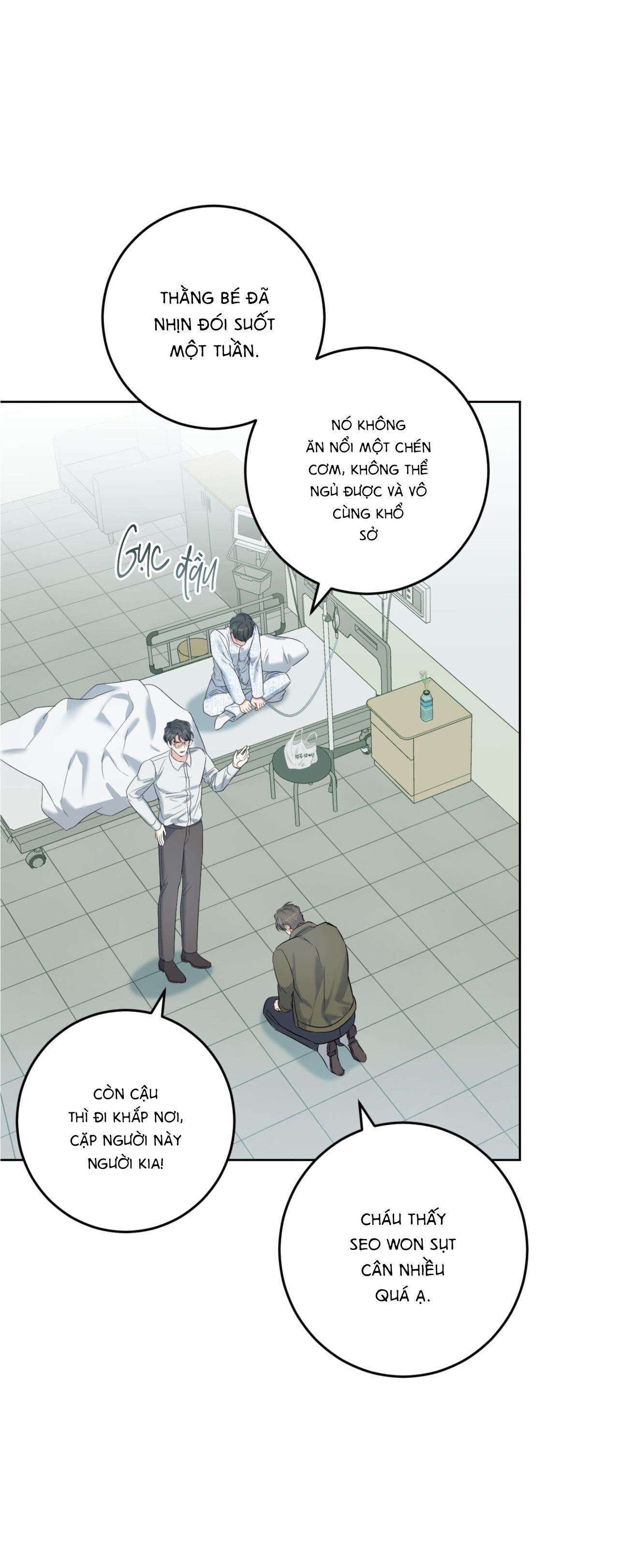 khu rừng tĩnh lặng chapter 36 38