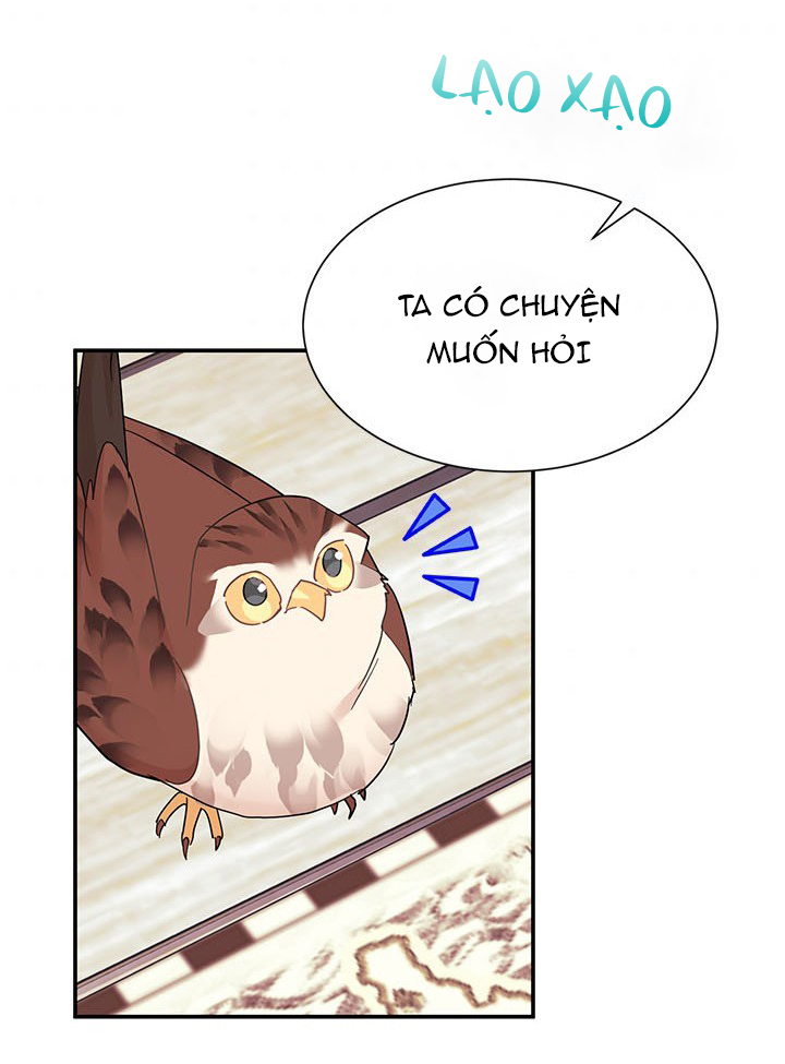 công chúa của loài chim chapter 18 34