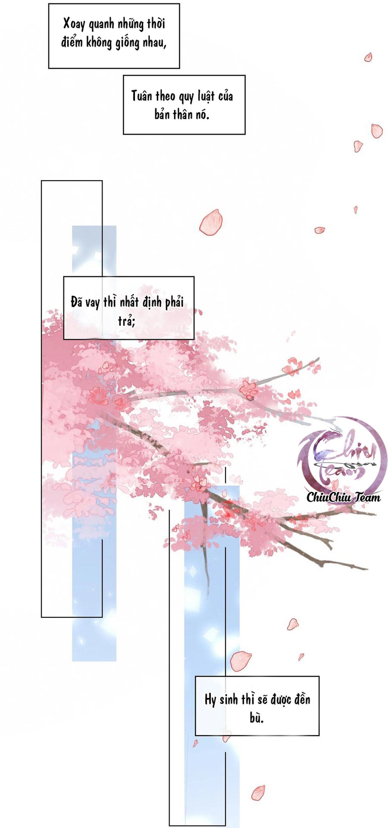 không làm trai bao! chapter 41 26