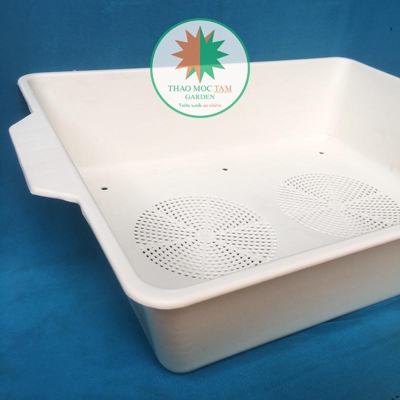 Combo 5 Khay Trồng Rau 48x39x12cm – Khay rau mầm, Trồng các loại rau ăn lá, chất liệu nhựa PP bền chắc
