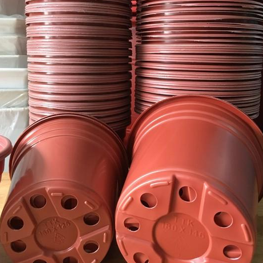 Combo 5-10 Chậu nhựa mỏng trồng cây - ươm cây