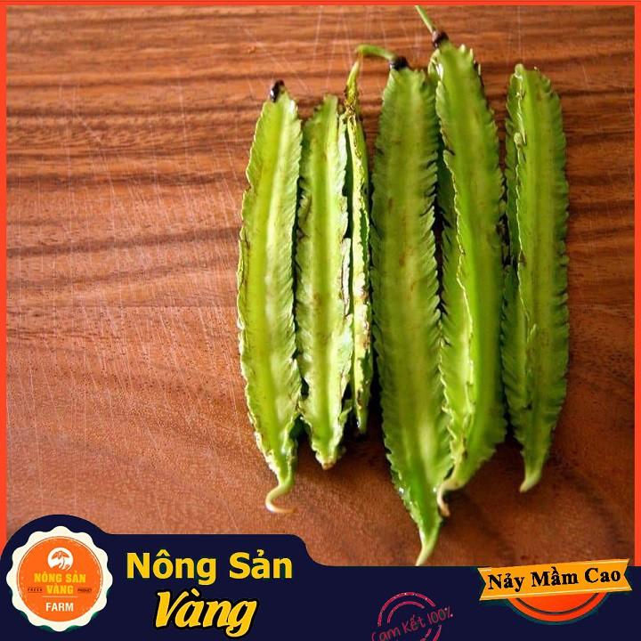 Hạt giống Đậu Rồng