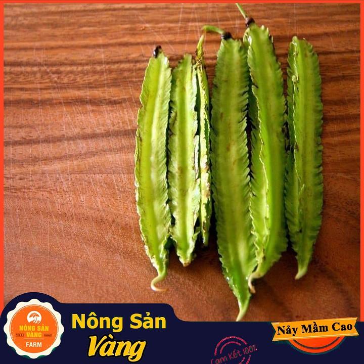 Hạt giống Đậu Rồng ( Gói 10 Gram )