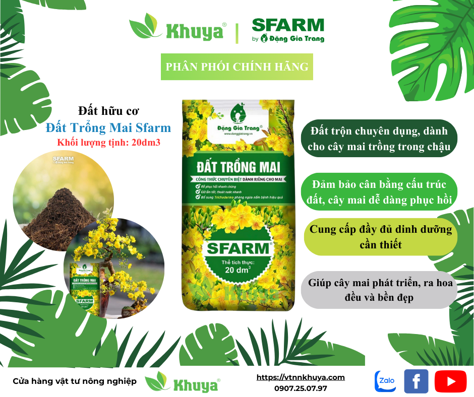 Đất trồng mai Sfarm 20md3