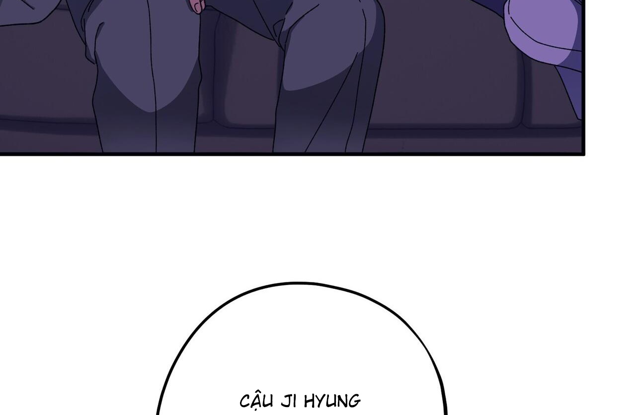 chàng dâu nhà họ kang chapter 43 114