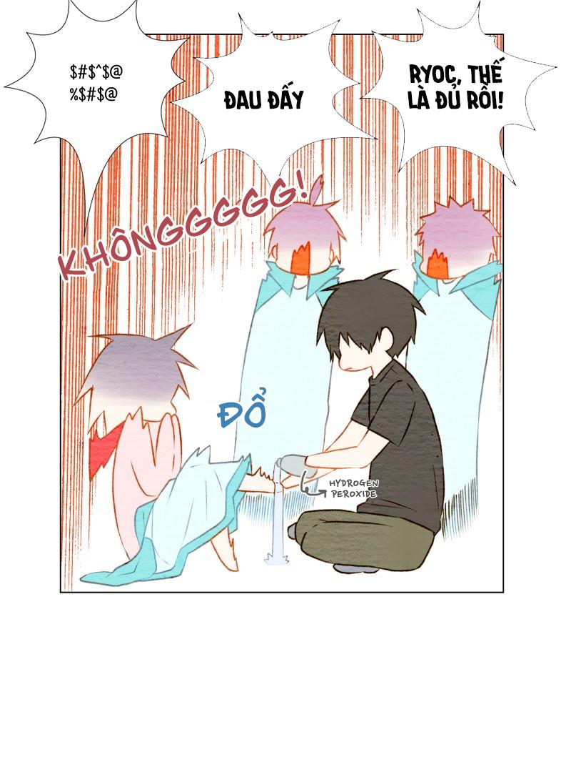 sao chép chapter 14 20