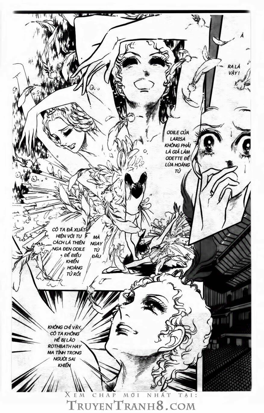 swan - vũ khúc thiên nga chapter 99 8