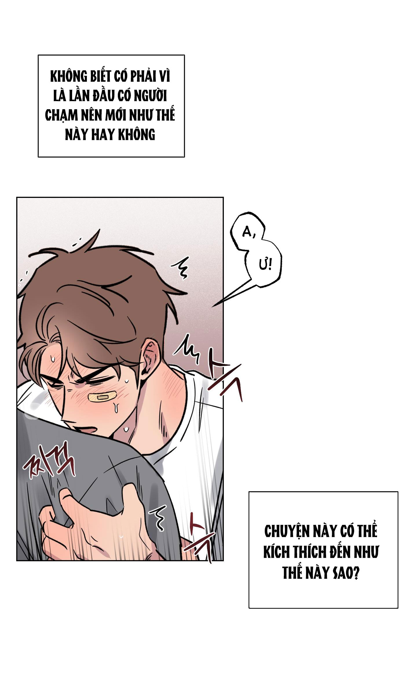 [18+] điều may mắn nhất cuộc đời tôi chapter 12.2 19