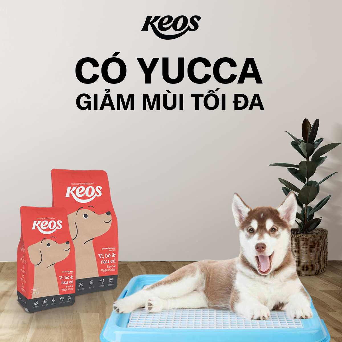 20KG Thức ăn cho Chó Keos Adult - VỊ GÀ &amp; RAU CỦ - Đồ ăn cho chó Keos Adult - Chicken and Vegetables