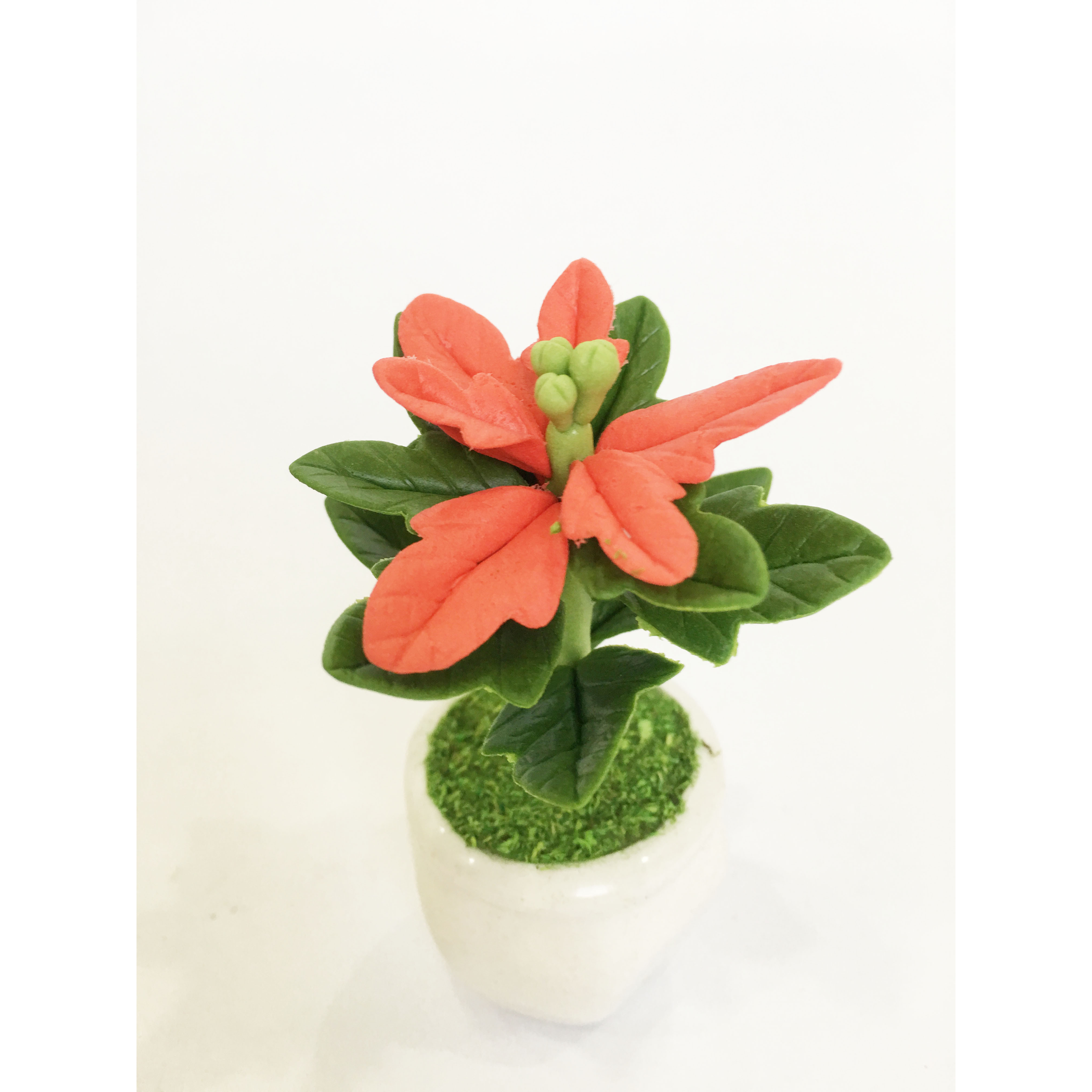 Chậu hoa đất sét mini - Cây hoa trạng nguyên lá đỏ may mắn - Quà tặng trang trí handmade