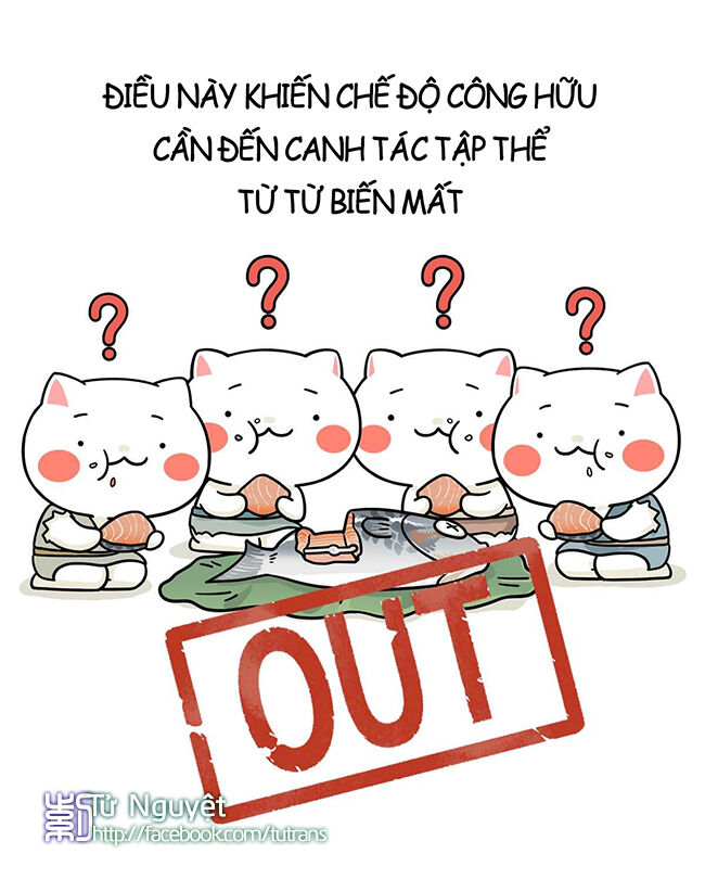 nếu lịch sử là một bầy mèo chapter 4 42