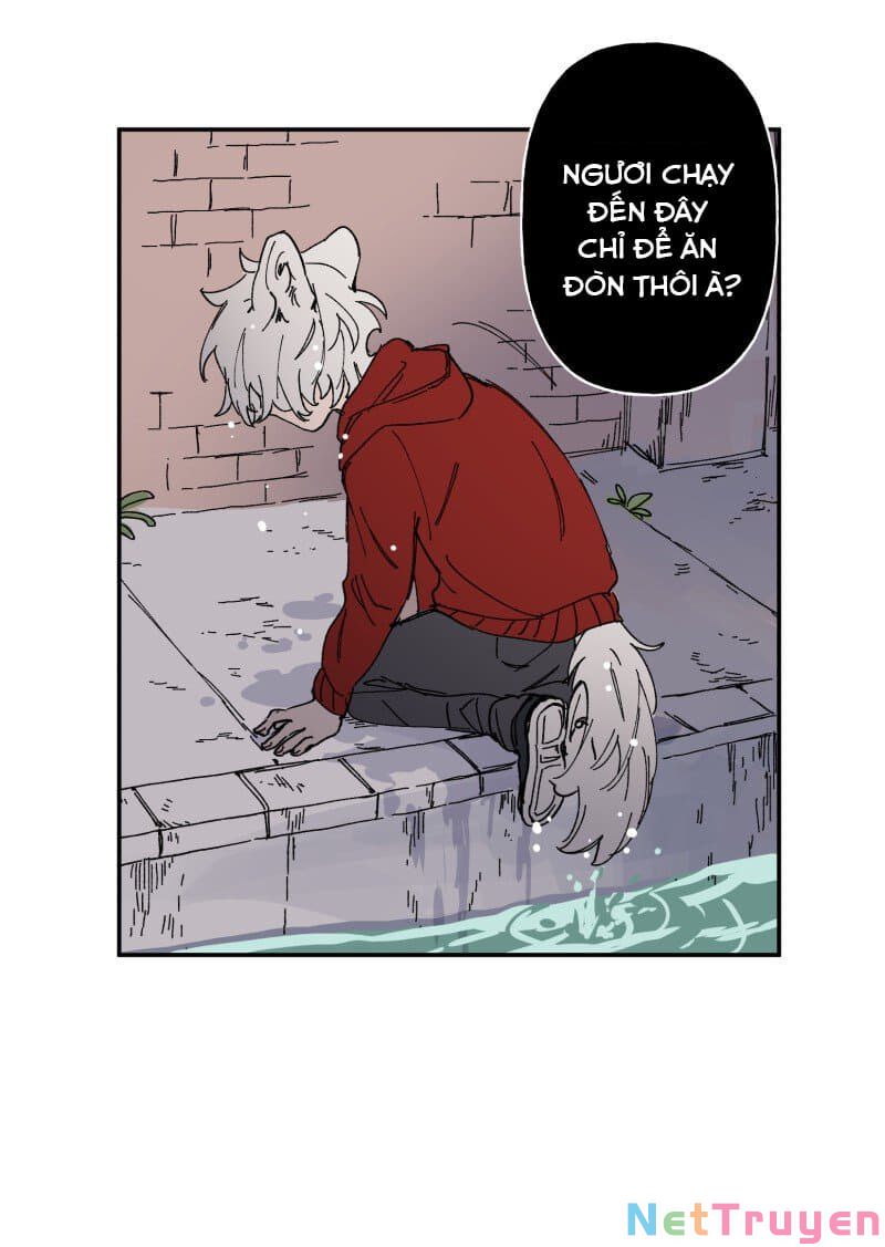 lumine - cội nguồn ánh sáng chapter 90 20