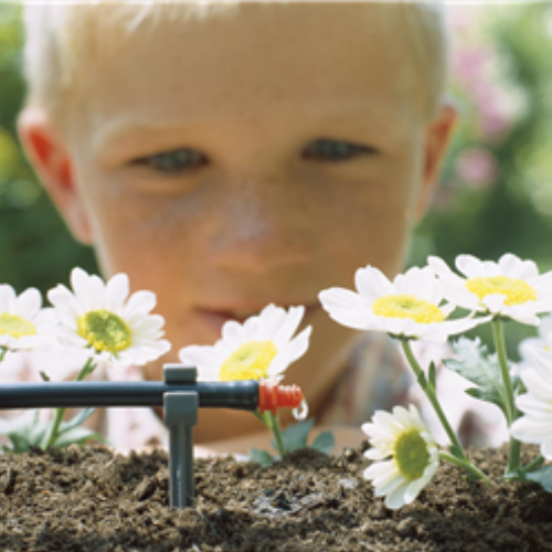 Bộ 25 đầu tưới nhỏ giọt 2 lít/giờ Gardena 01340-20