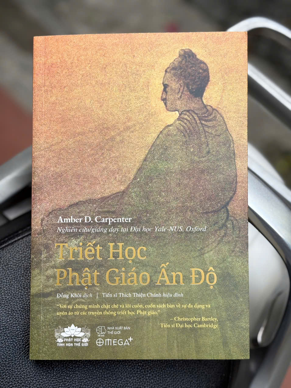 TRIẾT HỌC PHẬT GIÁO ẤN ĐỘ - Amber D. Carpenter - Đồng Khôi dịch - Omega+