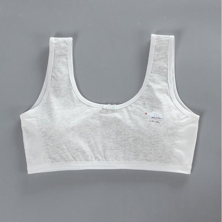 Bra / Áo Lá Học Sinh Hai Lớp Cotton Xuất Hàn ( AL : 177 ) Hàng Loại Đẹp.