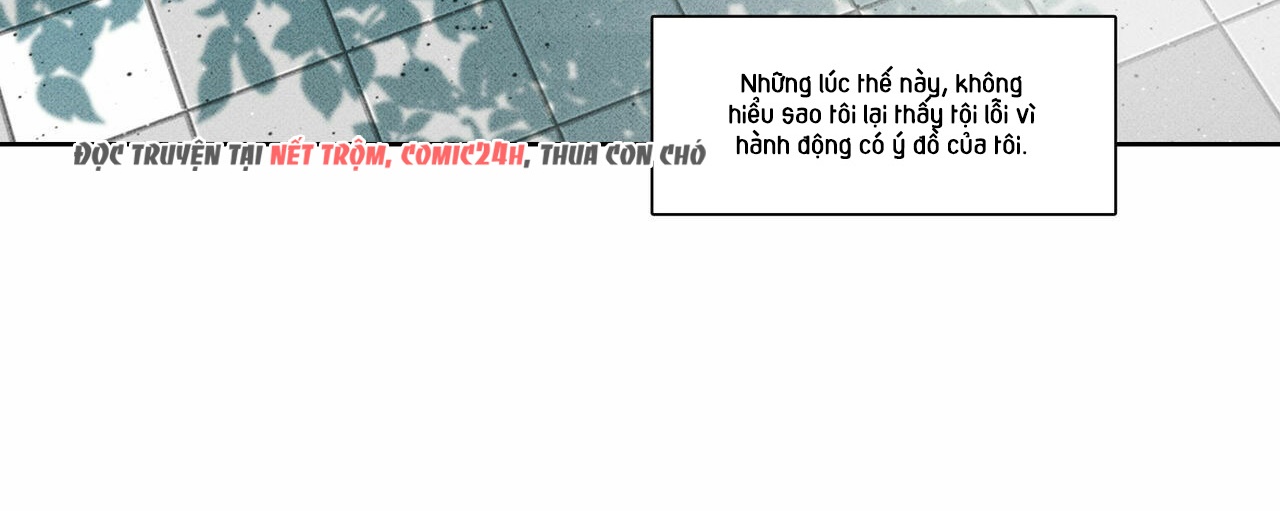 chàng giao pizza và gold palace chapter 11 21