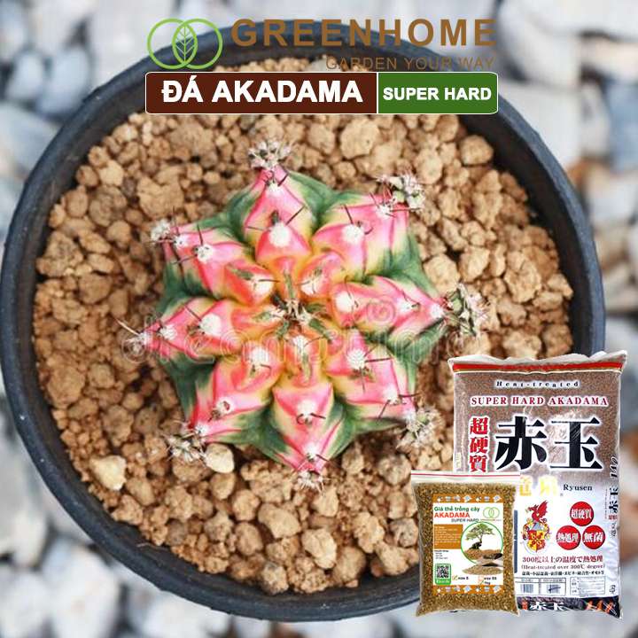 Đá Akadama, loại siêu cứng, làm đất, phân nền thủy sinh, bonsai, sen đá, nhiều size lựa chọn |Greenhome