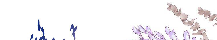 tôi sẽ cứu lấy nam chính tiểu thuyết bl chapter 23.1 537