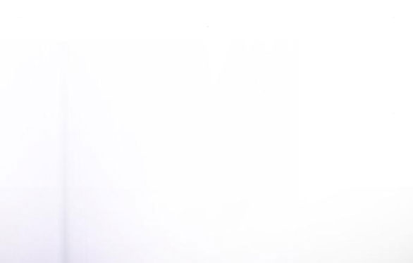 cách hiệp sĩ sống như một tiểu thư chapter 93.2 32