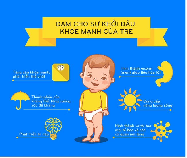 Sữa Bột XO 3 800g ( 1-2 tuổi)- Hàng Nội Địa Nhập Khẩu