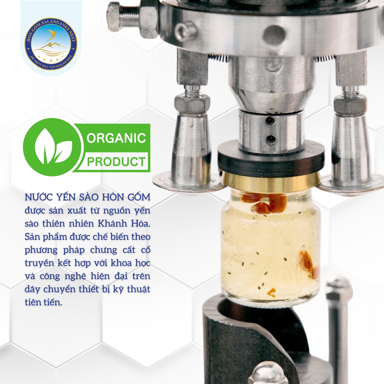 [Combo 12 lọ x 70ml] Nước Yến Sào Nhân Sâm - Yến Sào Hòn Gốm Chính Hiệu Khánh Hoà - H G SALANGANES NEST