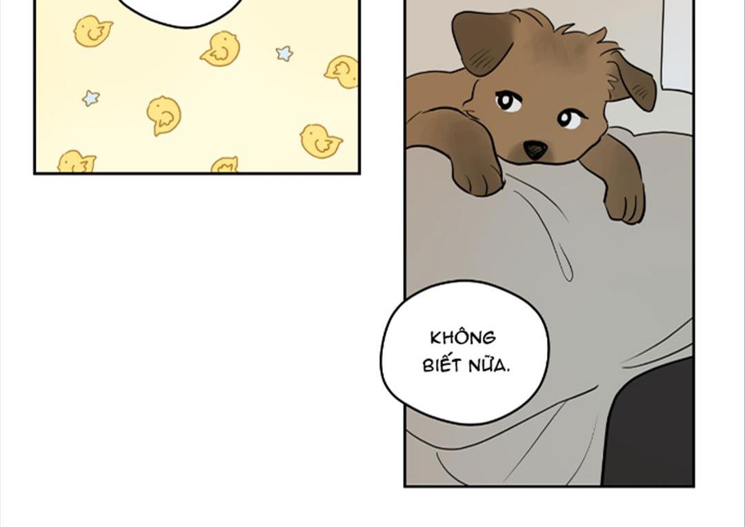 chuyện quái gì với giấc mơ đó vậy chapter 42 45