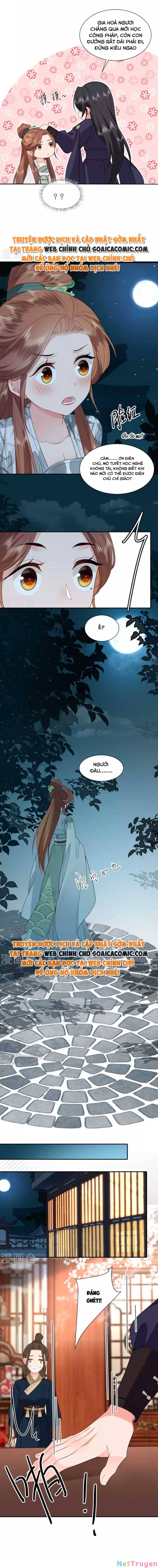 tướng quân, bổn phi không nhận sủng chapter 36 8