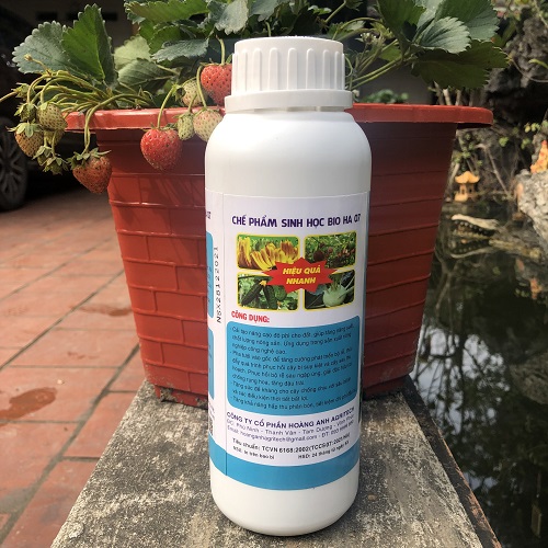 Combo 02 gói Phân bón sinh học Đạm Cá ORGANIC cải tạo đất, kích thích ra rễ, bật chồi, mập thân