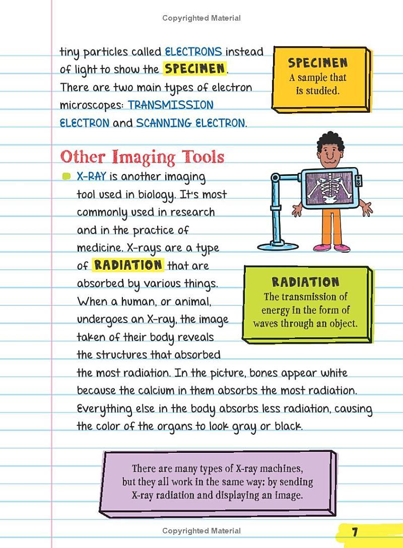 Sách ngoại văn: Everything You Need to Ace Biology in One Big Fat Notebook