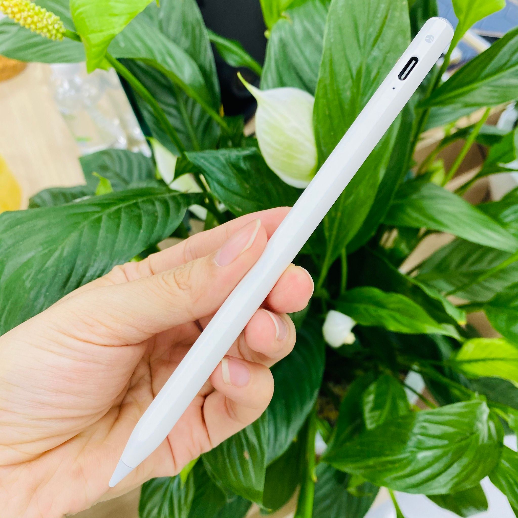 Bút Cảm Ứng Switcheasy EasyPen Pro 4 dành cho iPad - Hàng chính hãng