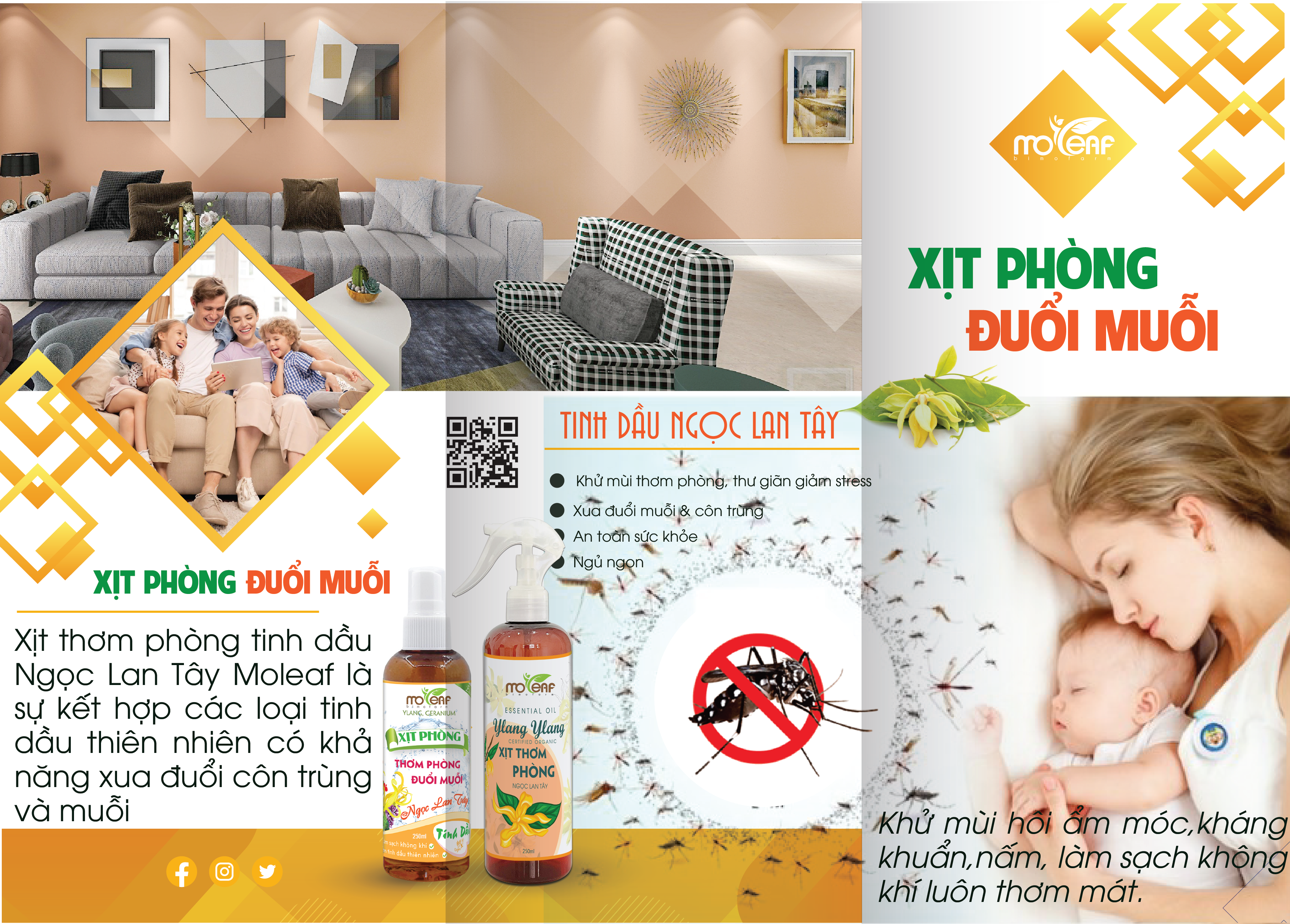 Xịt Thơm Phòng Moleaf Tinh Dầu Ngọc Lan Tây Thơm Mát Lọc Không Khí Đuổi Muỗi &amp; Côn trùng 250ml