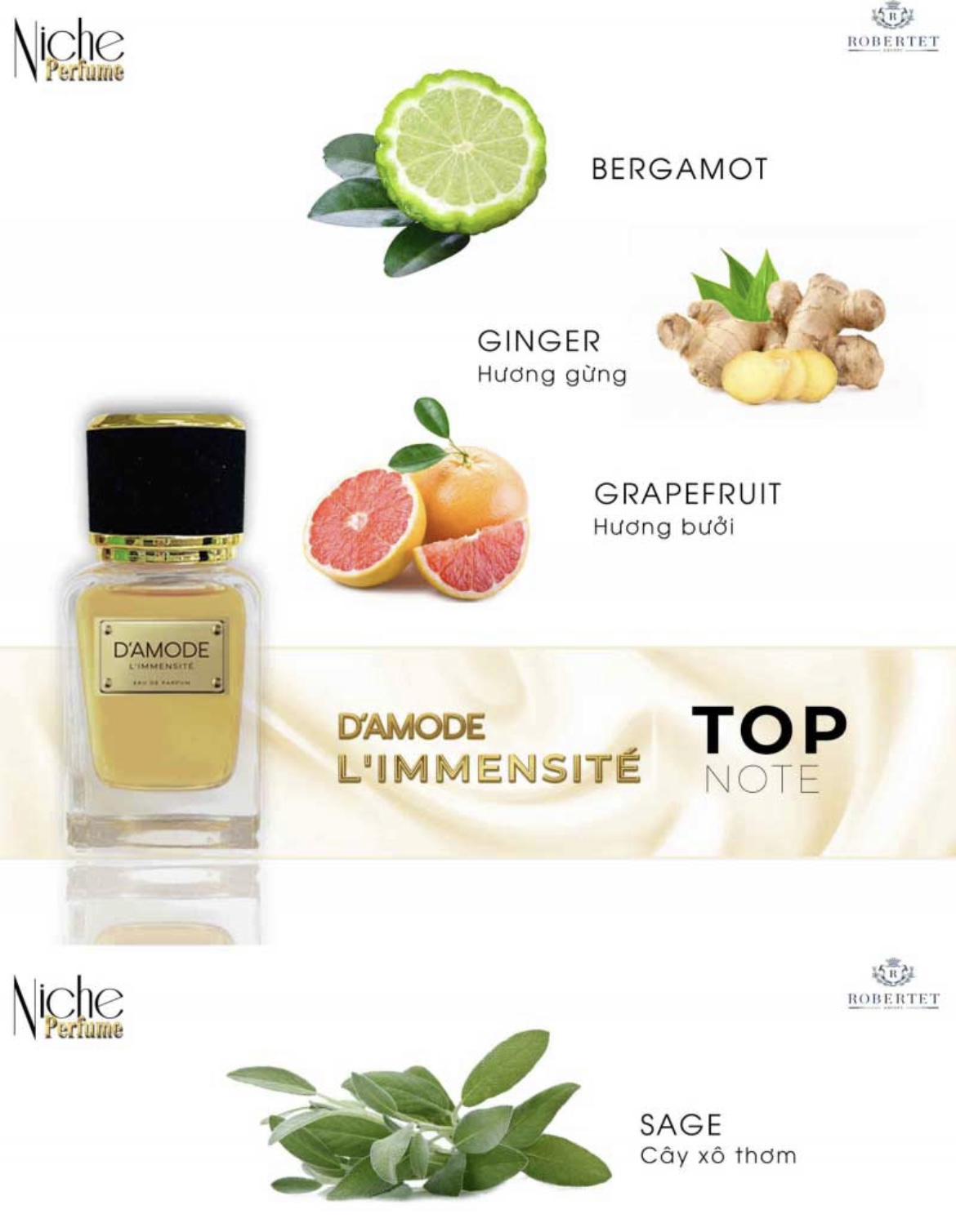 Nước hoa cao cấp độc quyền Damode L'MMENSITE 50ml