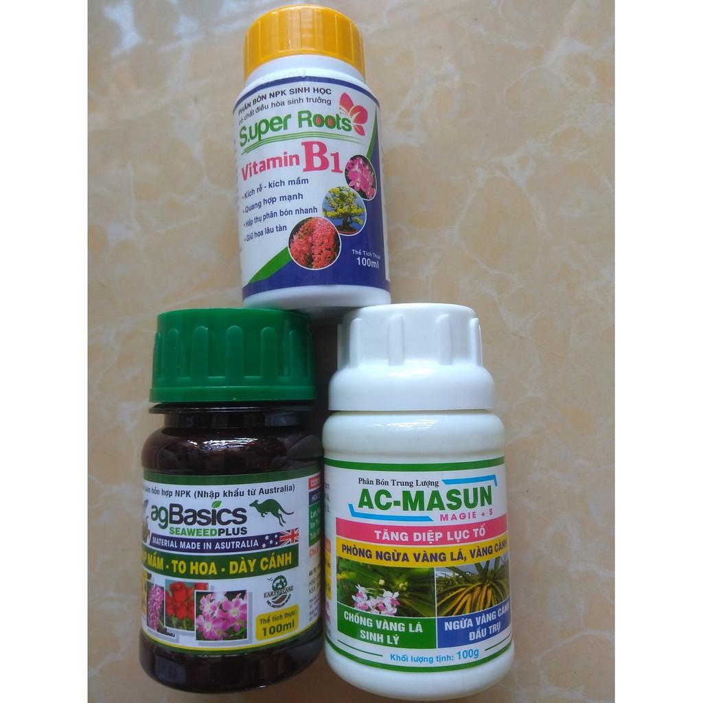 Bộ sản phẩm chăm sóc cây sứ thái mập thân to lá - 100ml/chai