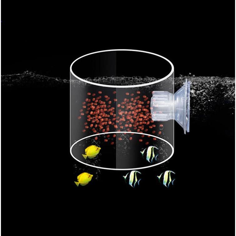 Vòng Giữ Thức Ăn Acrylic - Vòng Ăn Trong Suốt Cho Cá Cảnh