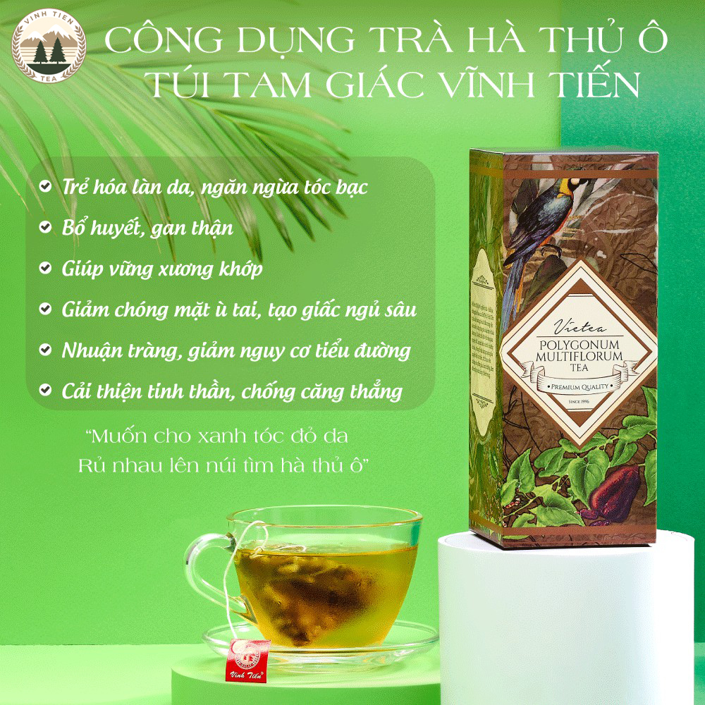 Trà Hà Thủ Ô Túi Tam Giác Vĩnh Tiến - Bổ Huyết, Ngăn Tóc Bạc Sớm, Ngừa Rụng Tóc, Chống Oxy Hóa