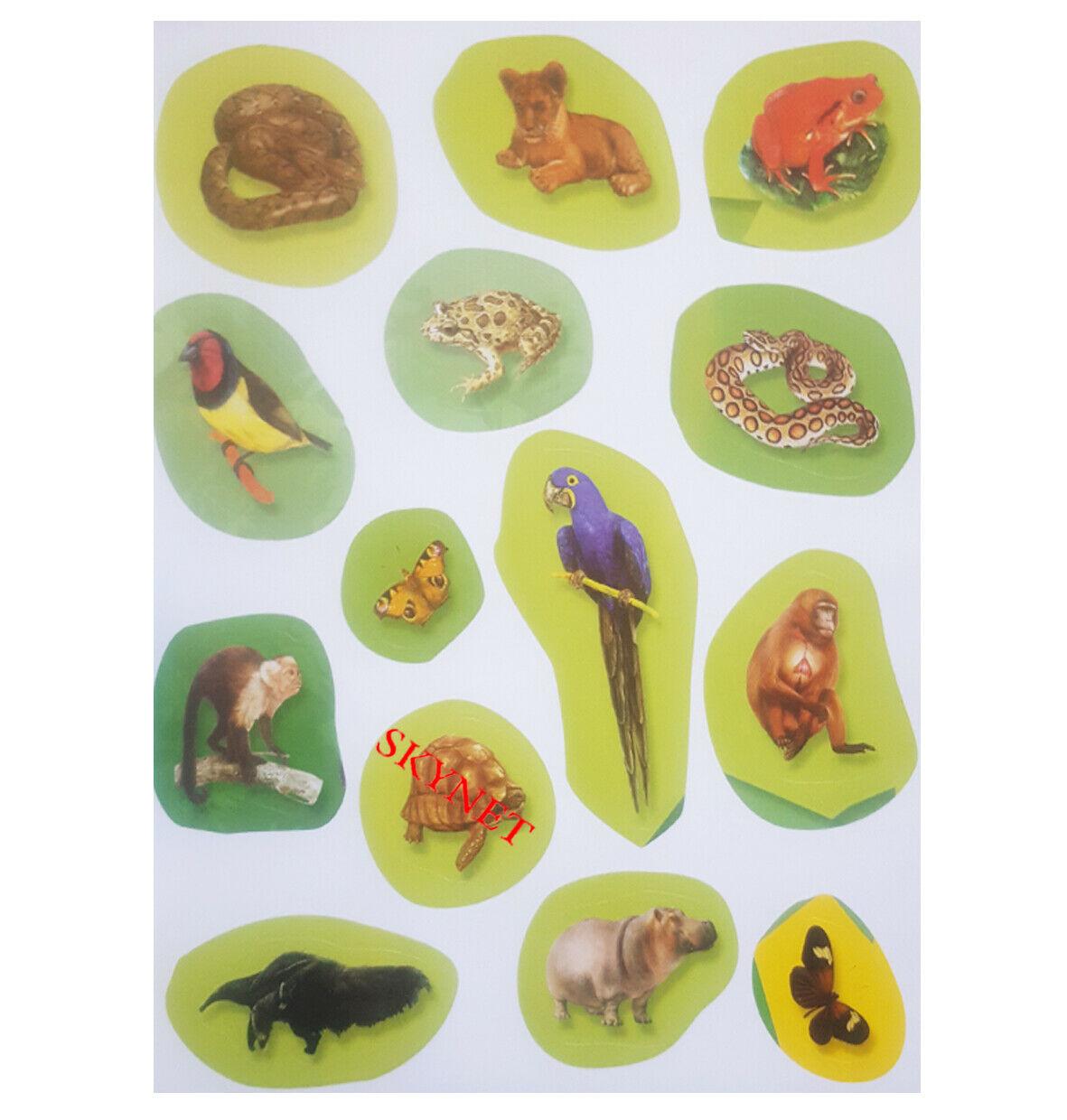 ANIMAL WORLD STICKER ACTIVITY - In The Jungle