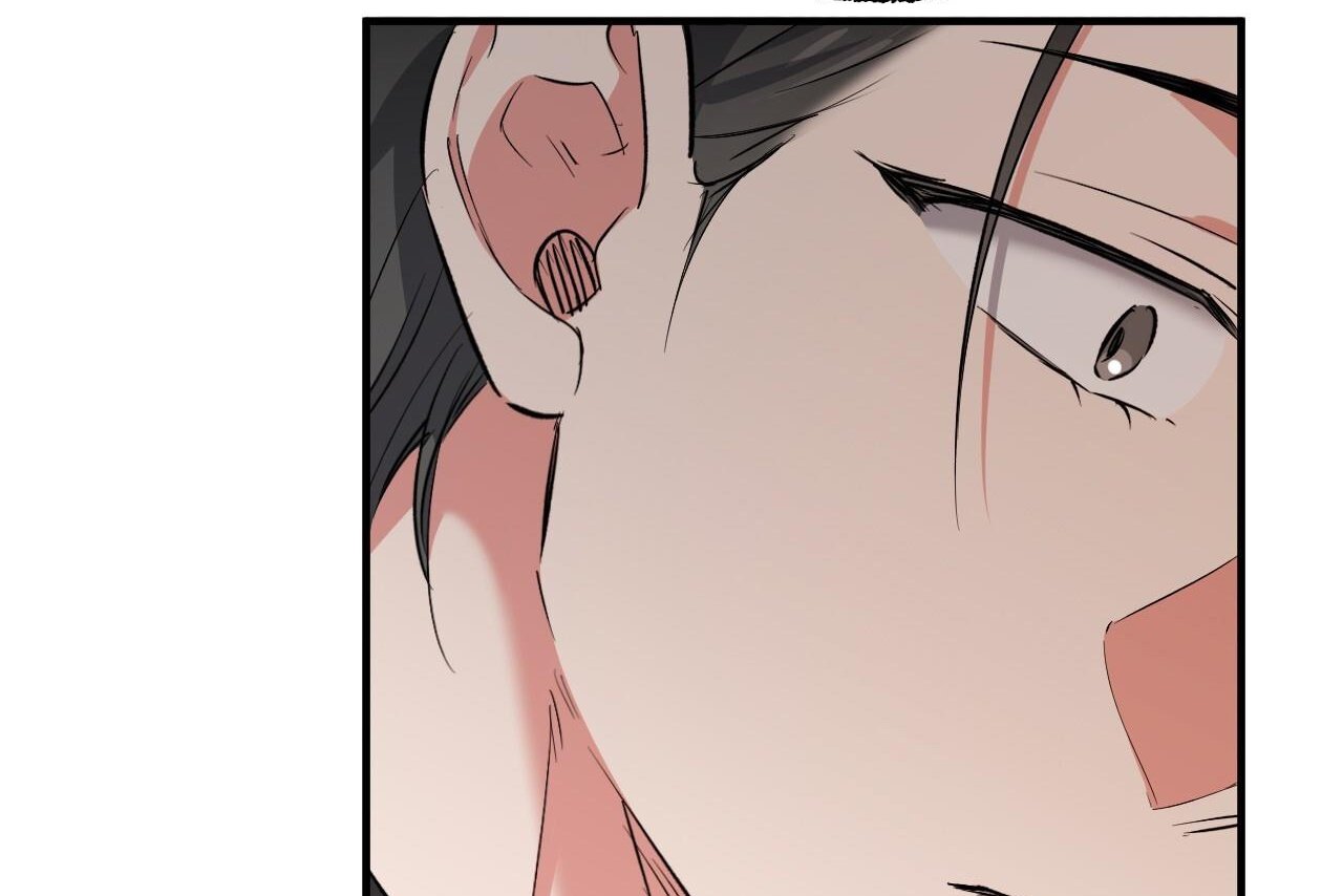 những chú thỏ của hapypy chapter 61 66