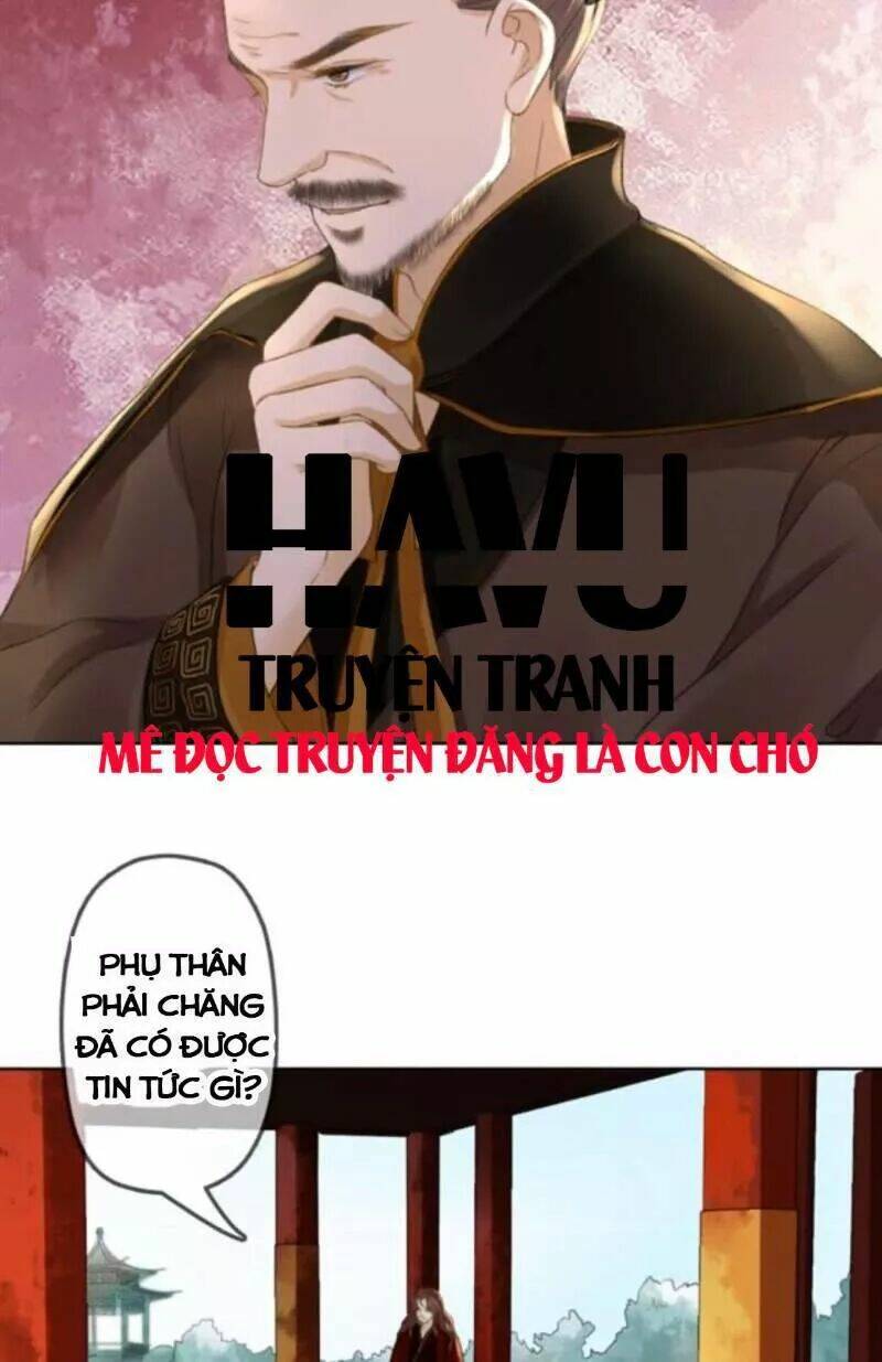 sủng phi của vương chapter 156 5