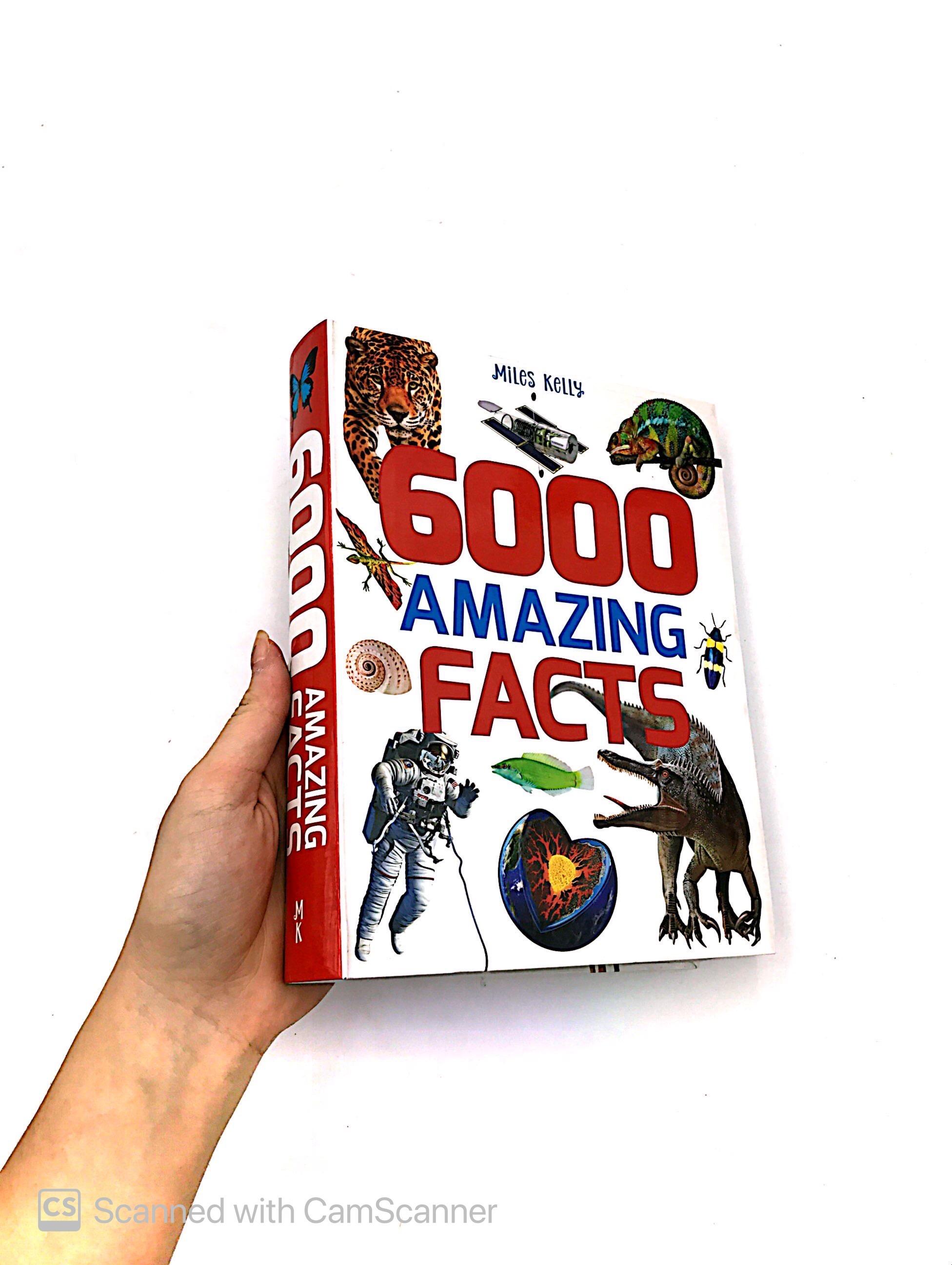 B384 6000 AMAZING FACTS