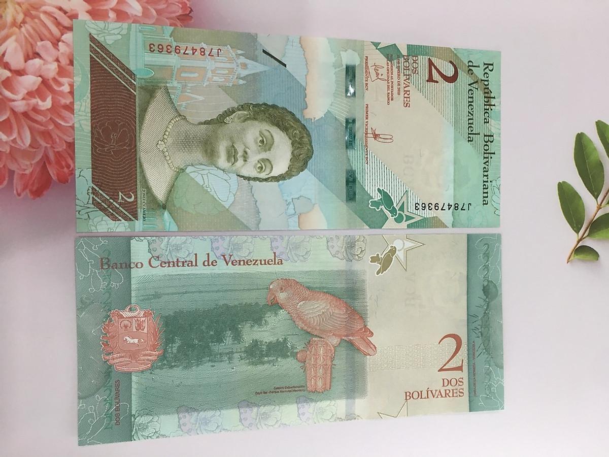 Tiền 2 Bolivares của Venezuela ở châu Mỹ, hình chim két , tặng túi nilon bảo quản tiền