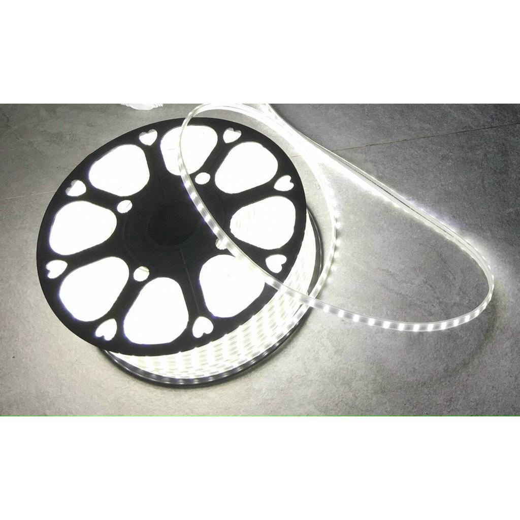 Led cuộn 2835 trắng/vàng/dương/lá/hồng/đỏ điện 220V cuộn 100M sử dụng ngoài trời, trang trí quán cà phê