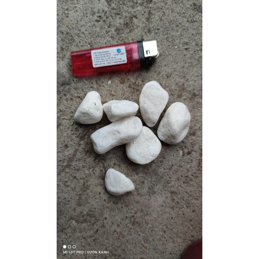 Sỏi trắng trang trí tiểu cảnh cỡ viên 2-3 cm 500gr