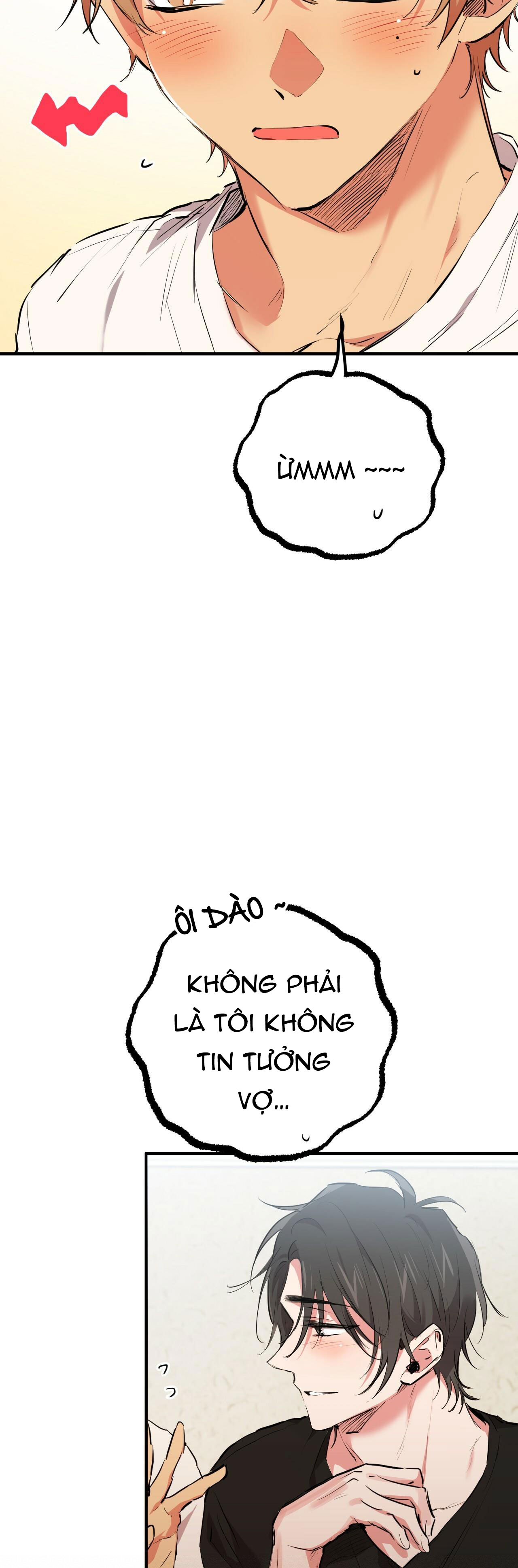 những chú thỏ của hapypy chapter 35 52