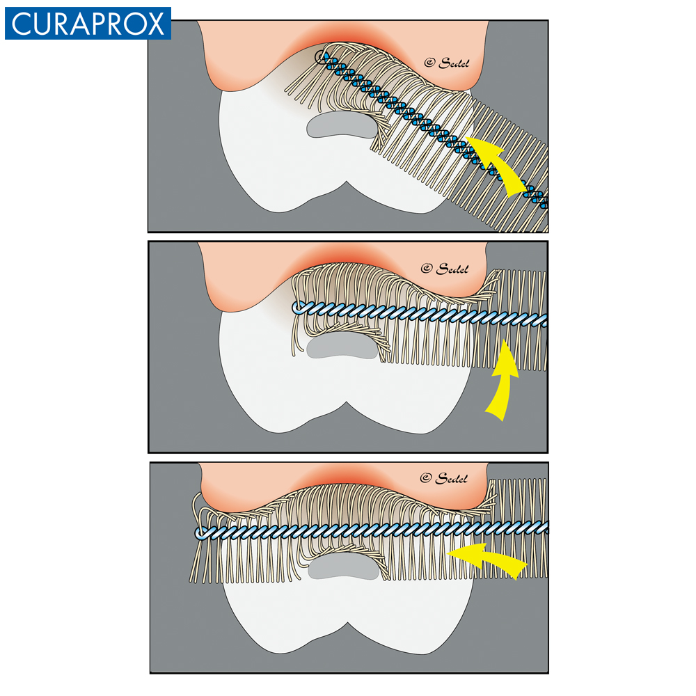 Bộ 4 bàn chải kẽ răng CURAPROX CPS chairside - Hồng 0.8mm