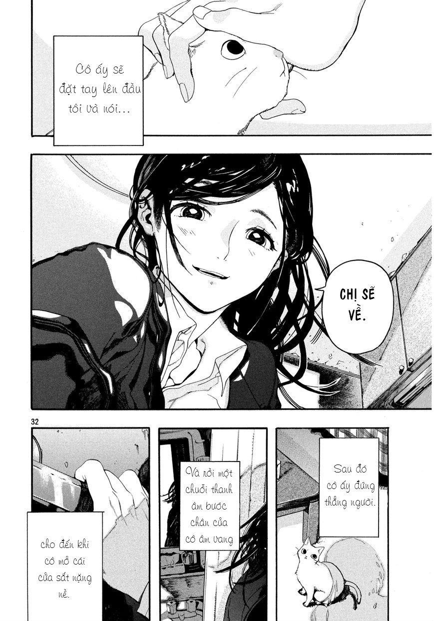 chú mèo và cô chủ chapter 1 30