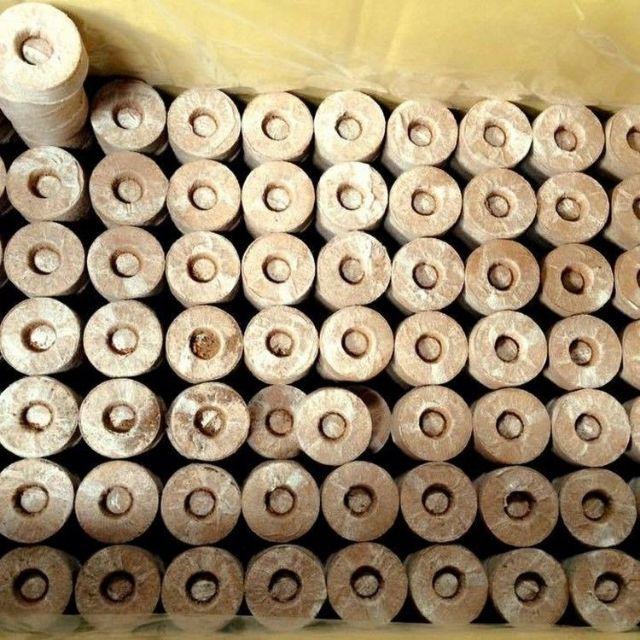 50 viên nén sơ dừa dùng ươm hạt giống cây trồng