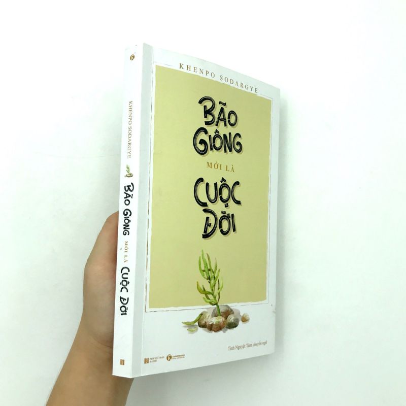 Bão Giông Mới Là Cuộc Đời